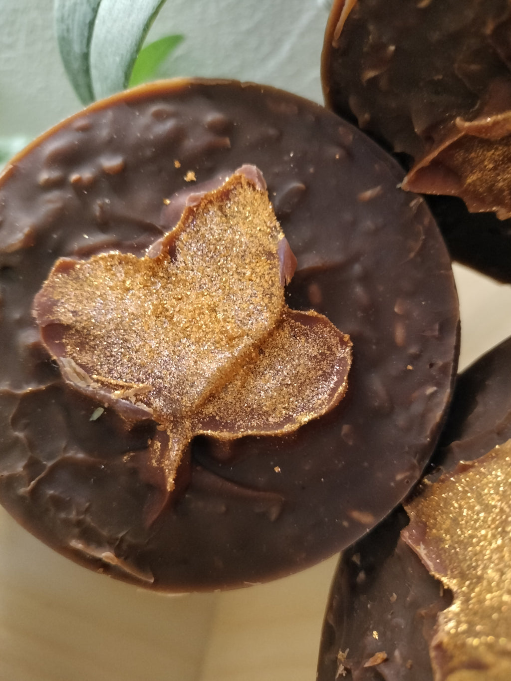 Maple Syrup ECO-SOAP FALL / AUTUMN Favorite