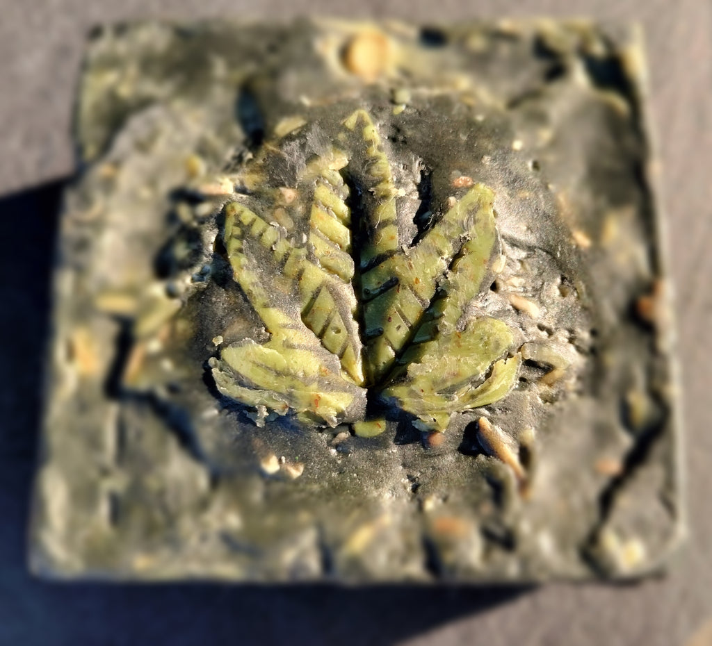 Cannabis Leaf Patchouli and Activated Charcoal eco-soap