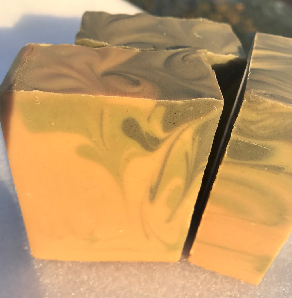 Cinnamon + Pine + Orange Eco-Soap