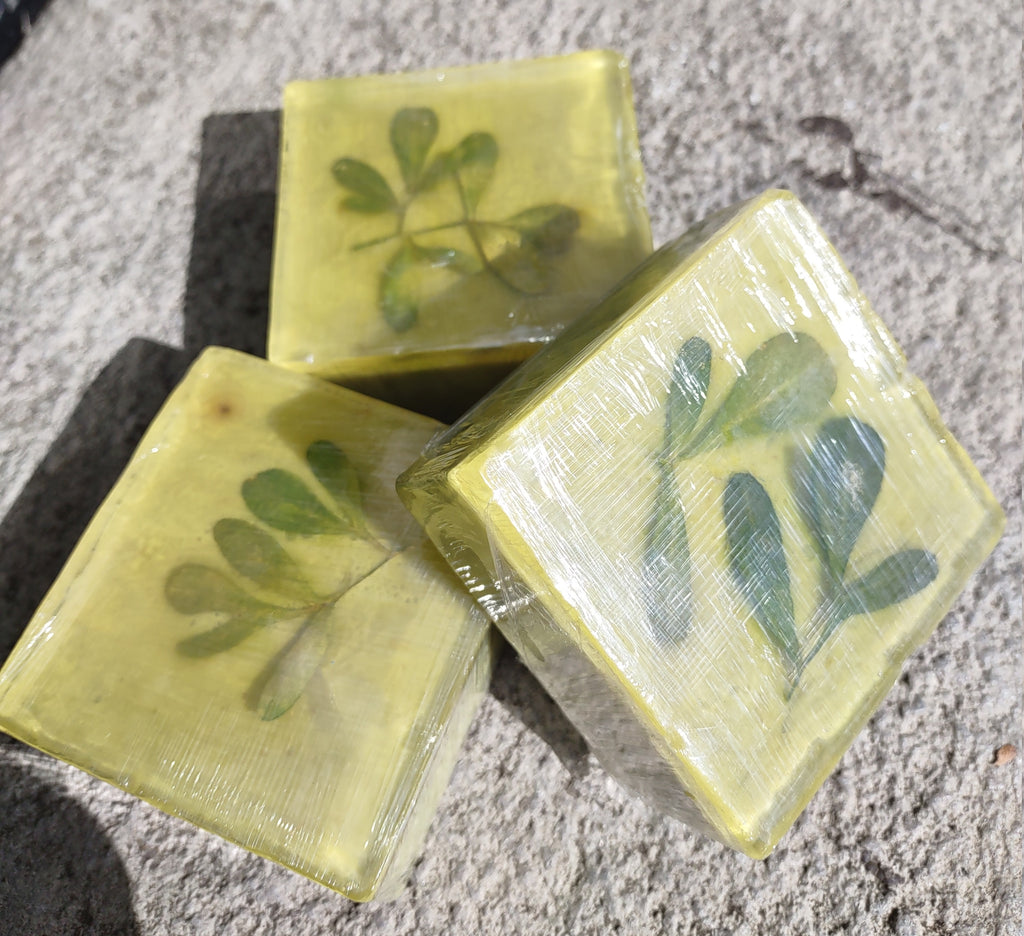Alandana Rue Ruda Ruta Graveolens Glycerin Soap