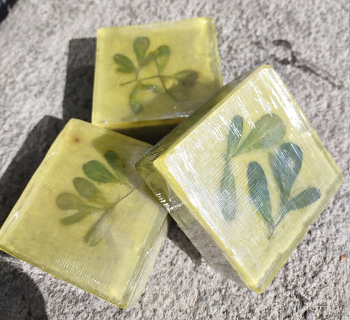 Alandana Rue Ruda Ruta Graveolens Glycerin Soap