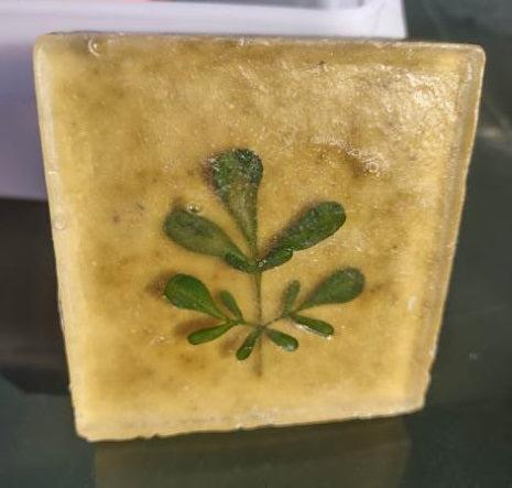 Rue Ruda Ruta Graveolens Eco-Soap